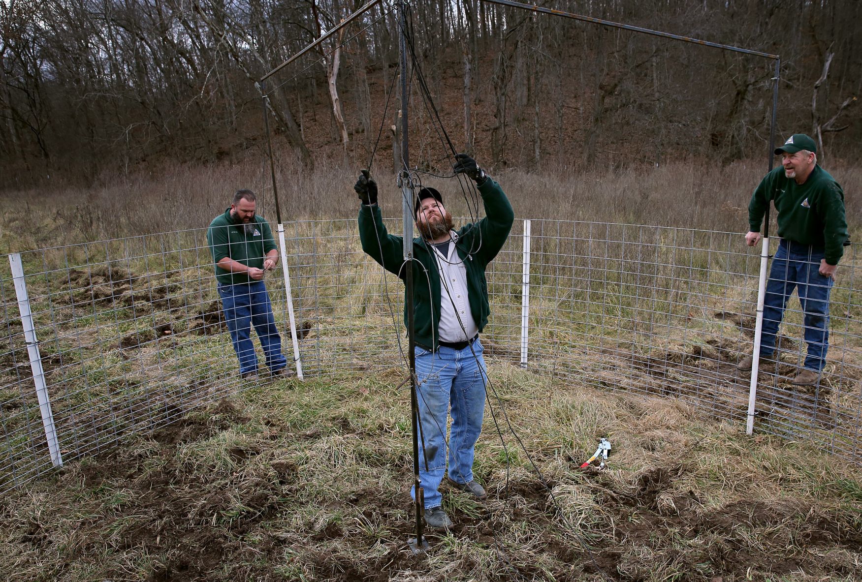 Controlling Missouri's feral hog population